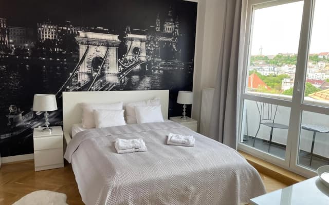 Panoramic Apt. near Chain Bridge - photo 2