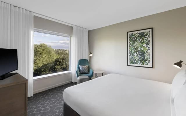 Vibe Hotel Rushcutters Bay Sydney - photo 4