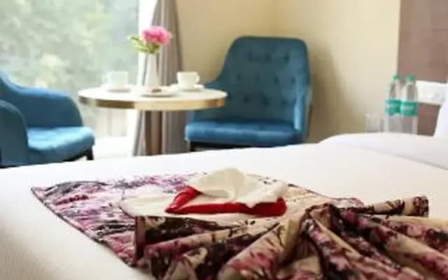 Hotel Luxe Opera NH8 – 7km from IGI Airport Delhi - photo 4