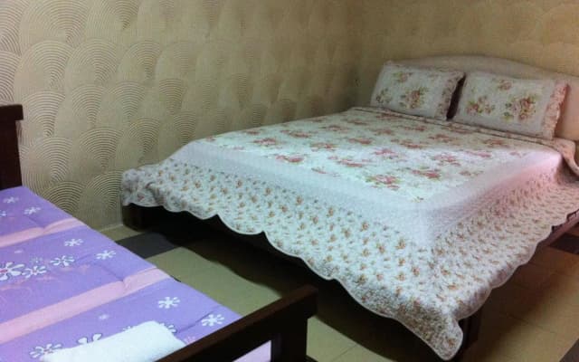 TnT Novelty House - photo 4