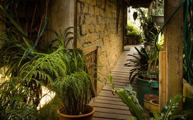 The Burrow At Wombat Bend - photo 5