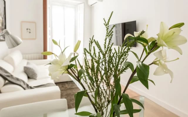 Chueca Exclusive - MADflats Collection - photo 4