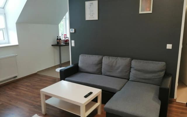 Simtown Suite Apartments - photo 4