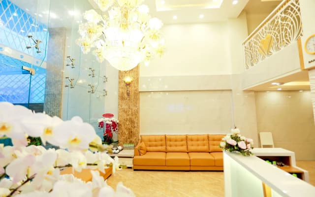 Vivian Hotel Saigon Airport - photo 2
