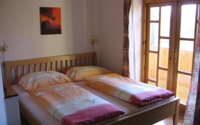 Pension Trojská - photo 3