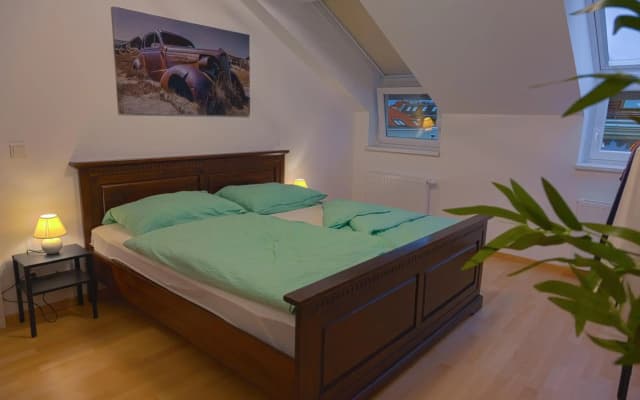 Gesamte Unterkunft über den Dächern Wiens - photo 3