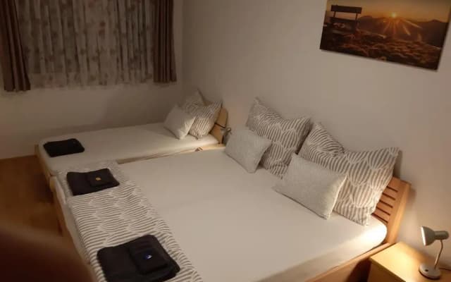 Vienna Lion Apartment - photo 5