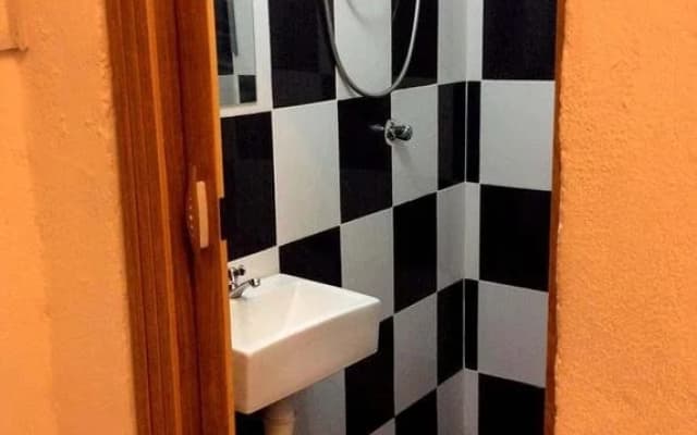 Travellers Palm Lodge - photo 4