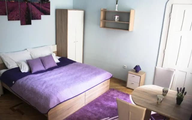 Little Hungary Apartment - photo 4