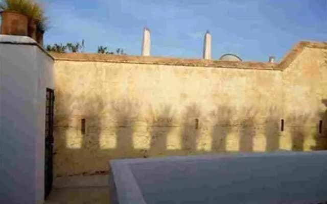 Riad Maiya - photo 4