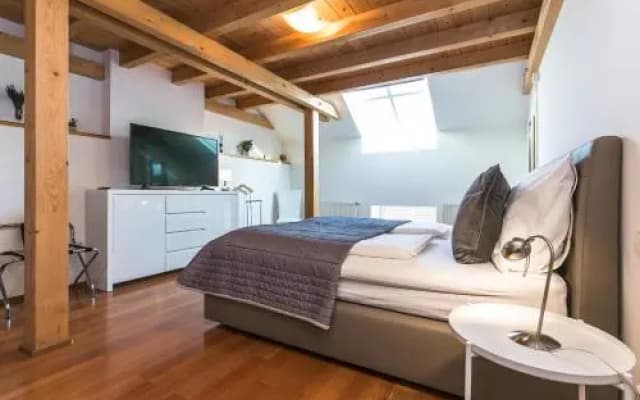 Attic Apartment by Wenceslas Square - photo 4
