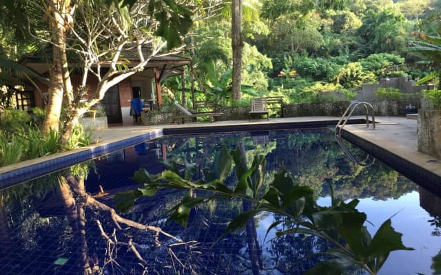 Kanita Garden At Phuket - photo 3