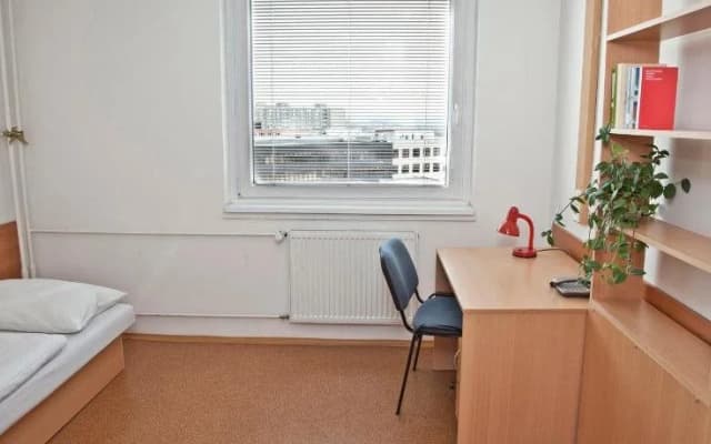 Volha - photo 4