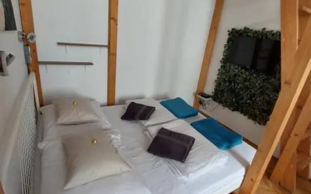 Szenes-House Apartman - photo 5