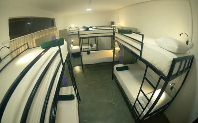 Groove House - photo 4