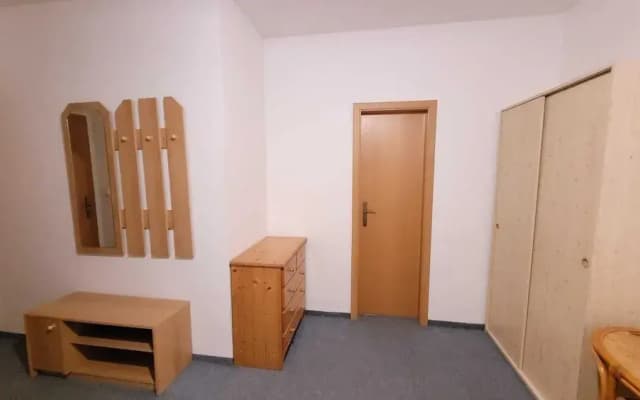 Pension Patanka - photo 4