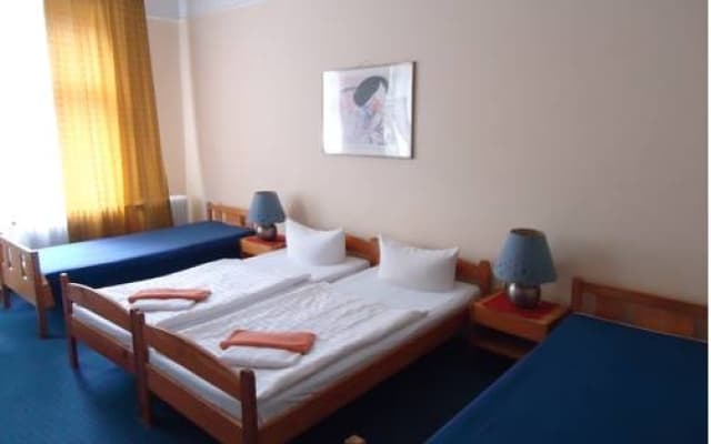 Hotel Pension Austriana - photo 2
