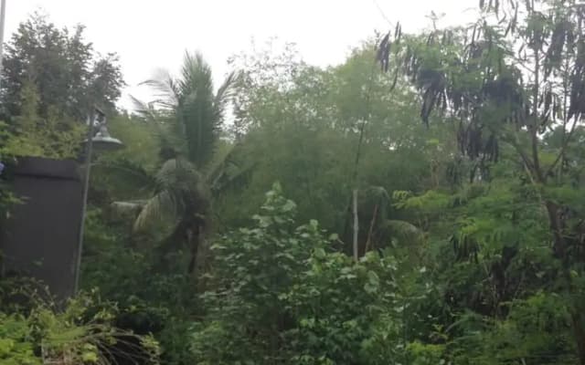 Cebluk Sari Homestay - photo 3