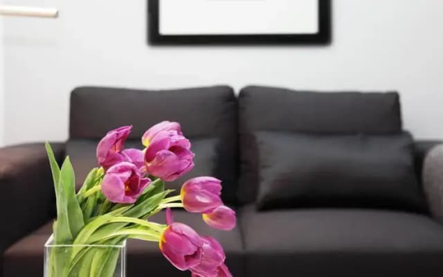 Luxury OneBedroom in Le Marais - photo 4