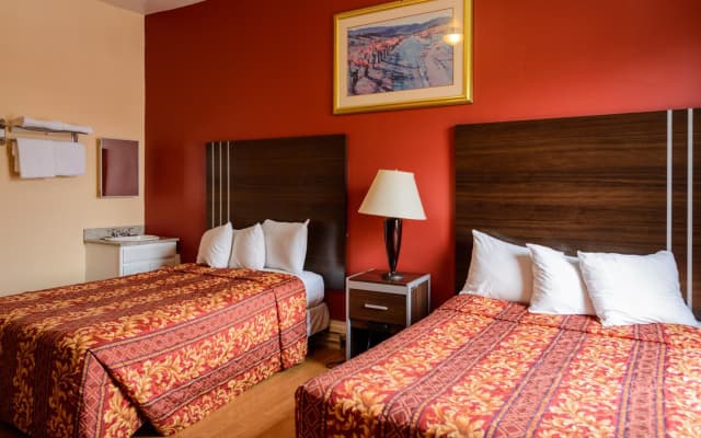 Europa Hotel - photo 4