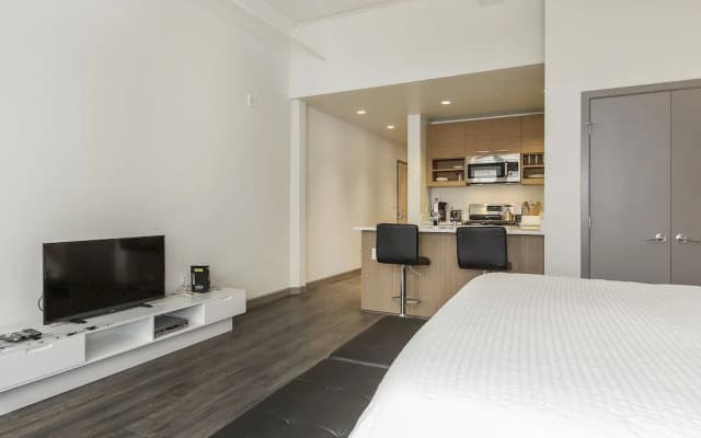 Soma Lofts Apartment - photo 3