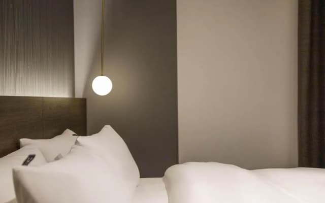 H hotel - photo 5