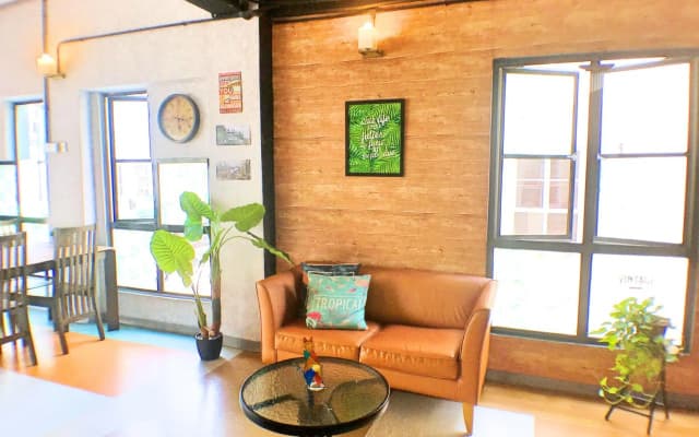 Lavender Guesthouse - Hostel - photo 2