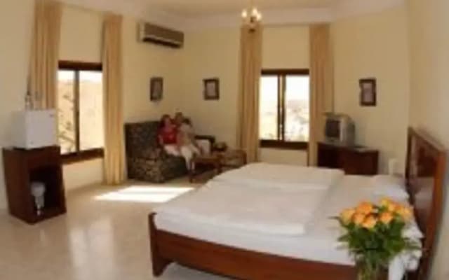 Villa Shams - photo 2