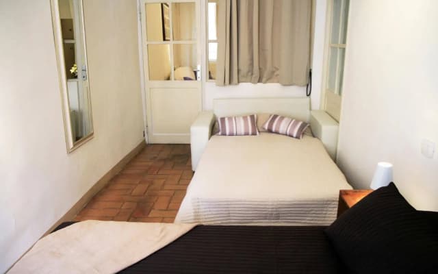 Purple Home Tulip - photo 5