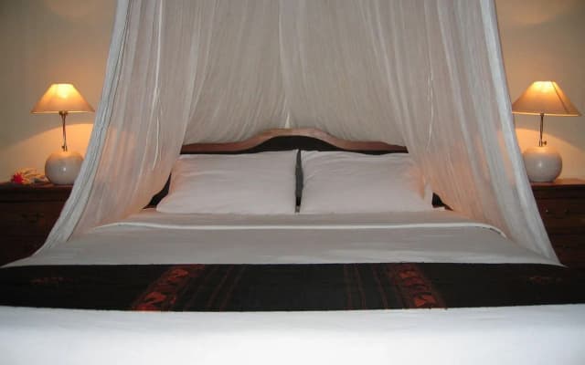 Putu Bali Villa and Spa - photo 2