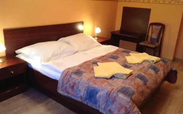 Victor Pivovar Hotel - photo 3