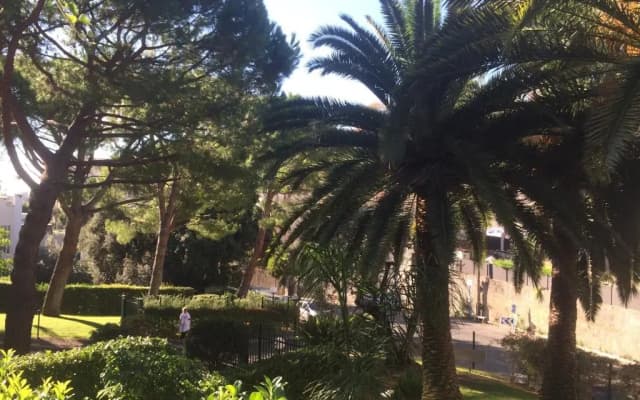 AZURELLE - photo 2