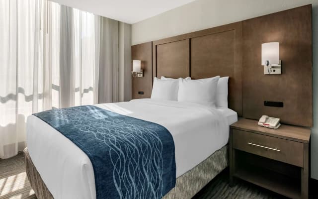 Comfort Inn & Suites Downtown Brickell-Port of Miami - photo 5