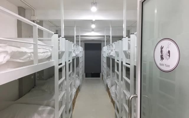 Rabbitat Hostel - photo 5