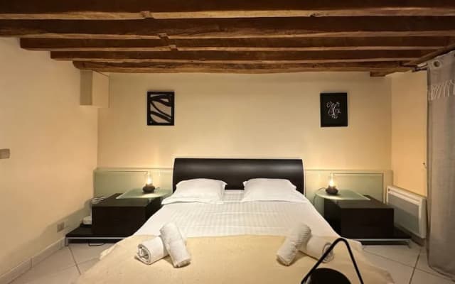 Charming Tuileries 1 Bed Apt in the Centre of Paris - photo 4