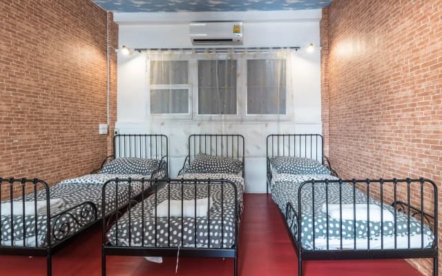 Tiger Lily Hostel - photo 3