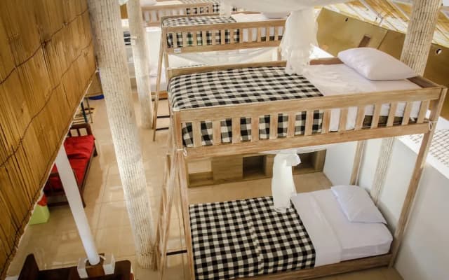 Serenity Guesthouse 2 - Hostel - photo 4