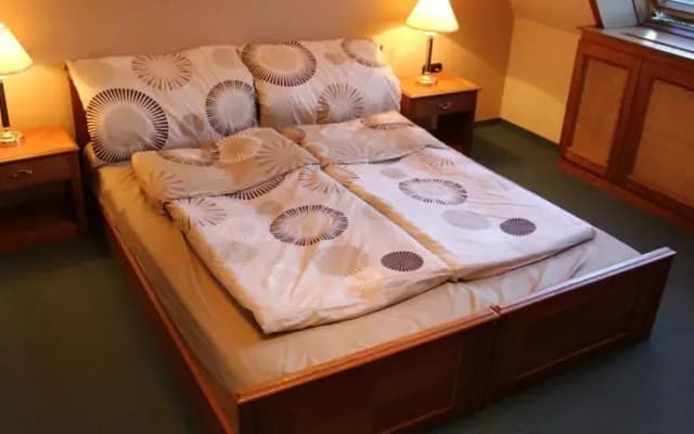 Garden Inn Budapest - photo 4