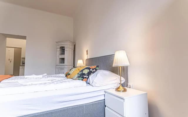 Gorgeous 1BR Apt near AKH Hospital - photo 3