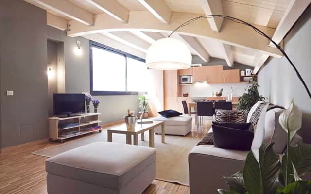 Executive Attic 3 - photo 5