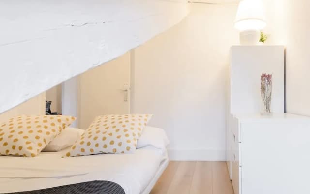 Charming Center Penthouse - photo 5