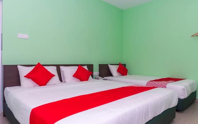 Hotel Shlyo - photo 2