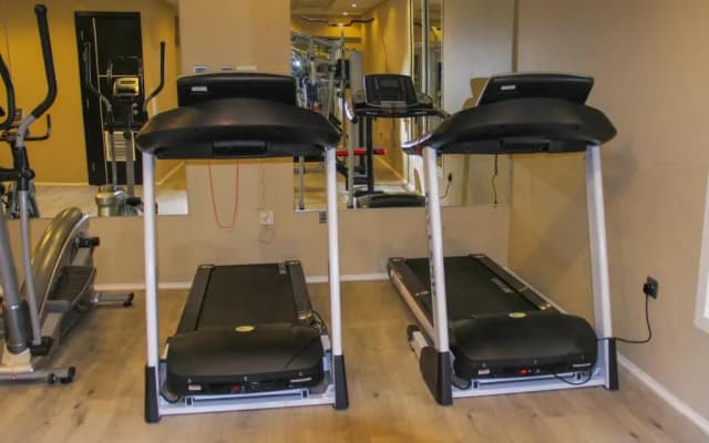 The Saj Ajman Hotel - photo 4