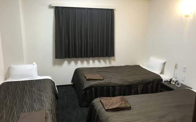 Osaka Corona Hotel - photo 4