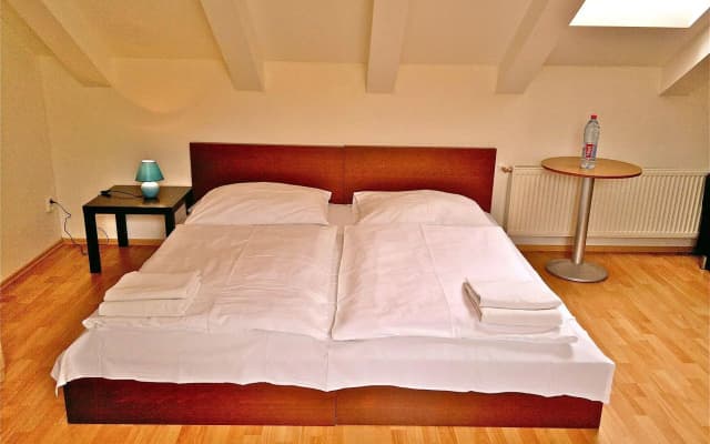 Residence Pinkas Prague - photo 4
