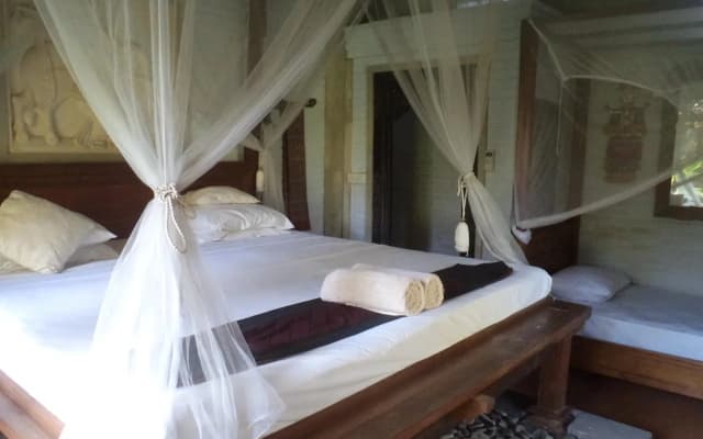 Bali Moon Guest House - photo 4