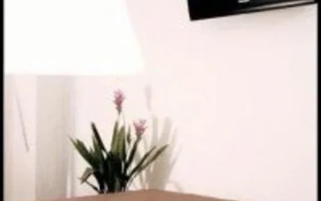 Alex Inn - photo 3