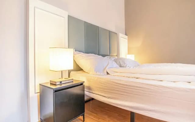 Luxury Flat with Access to Danube - photo 3