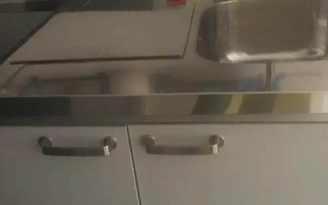 Ferienwohnung am Wasser - photo 4