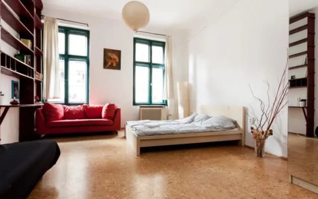 Gorgeous Flat Opera - photo 2